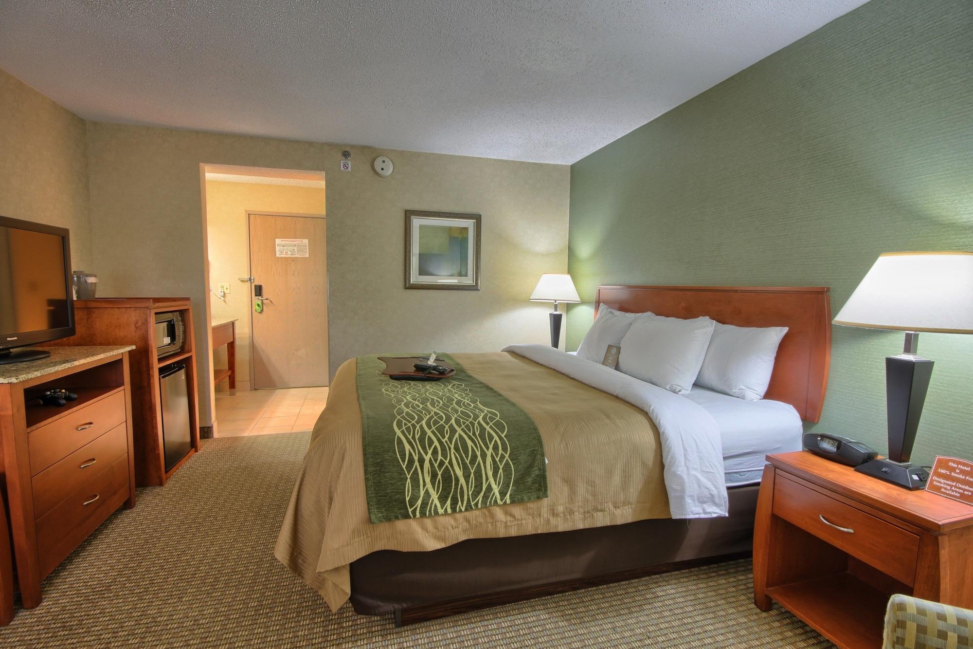 Comfort Inn Near Greenfield Village Dearborn Zewnętrze zdjęcie
